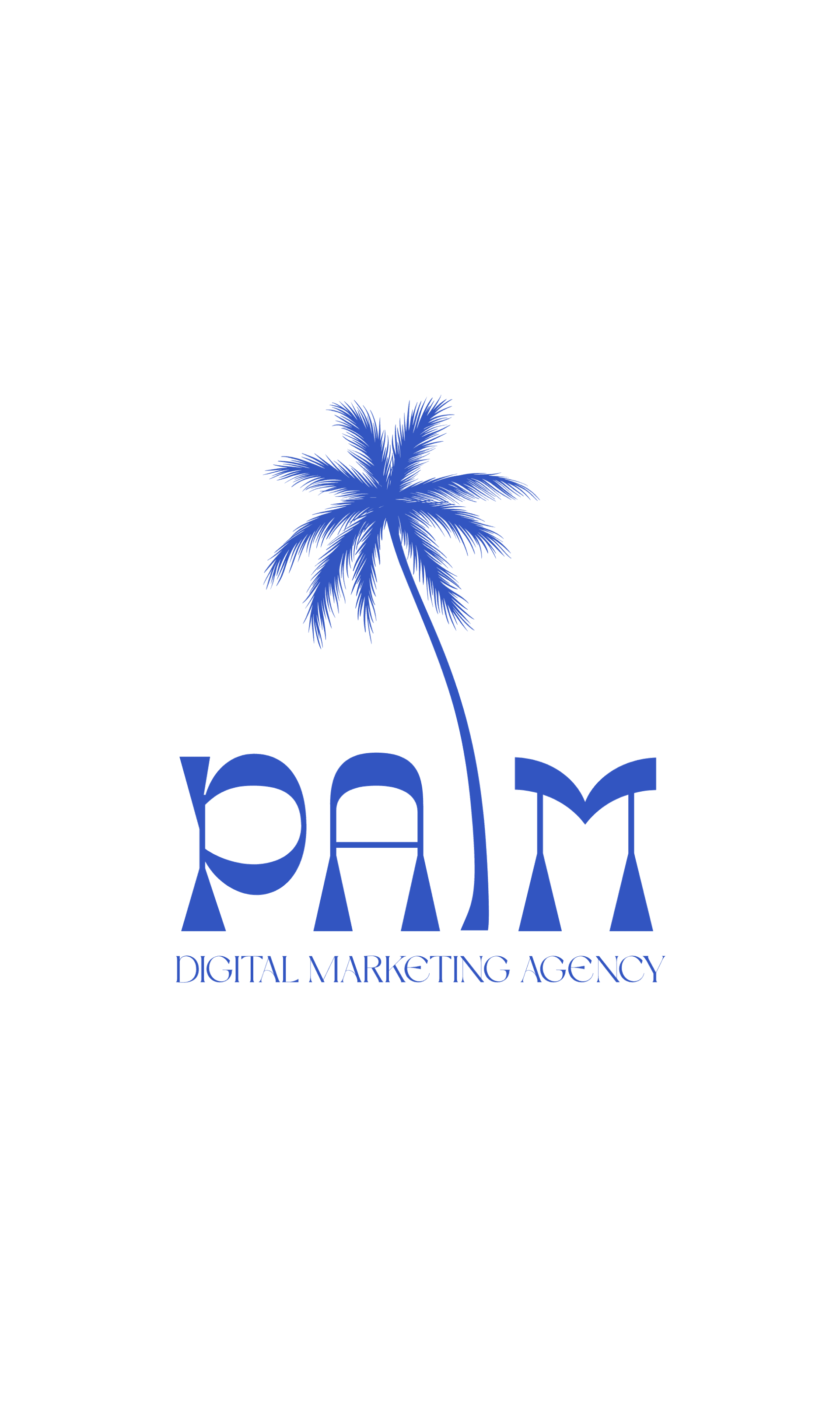 Palm Digital Marketing Agency